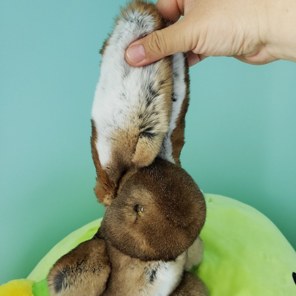 Rabbit - Picture 6 of 6